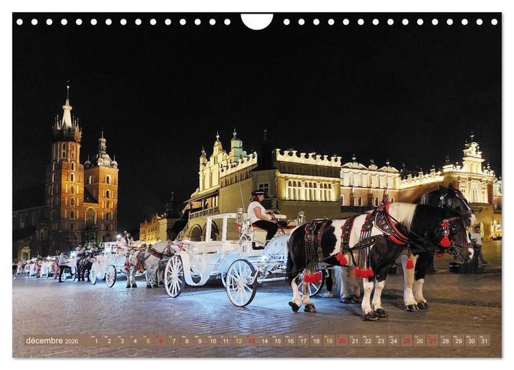 Produktbild: Belle Pologne du Sud (Calendrier mural 2026 DIN A4 vertical), CALVENDO calendrier mensuel