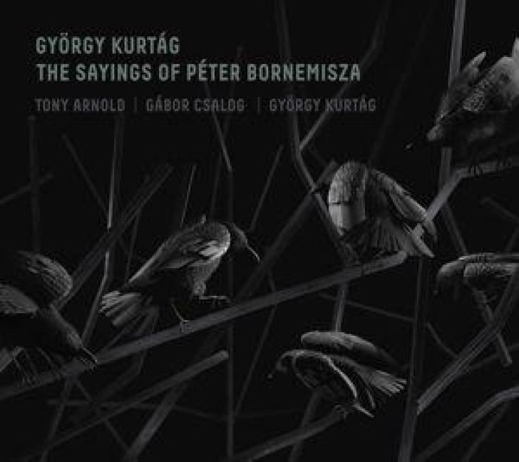 Produktbild: Die Spr&uuml;che des Peter Bornemisza