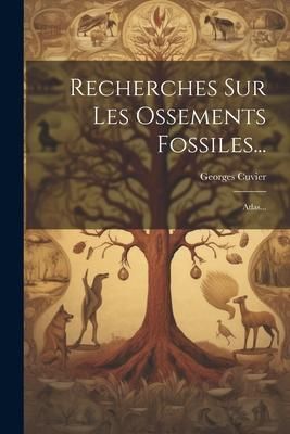 Produktbild: Recherches Sur Les Ossements Fossiles...: Atlas...