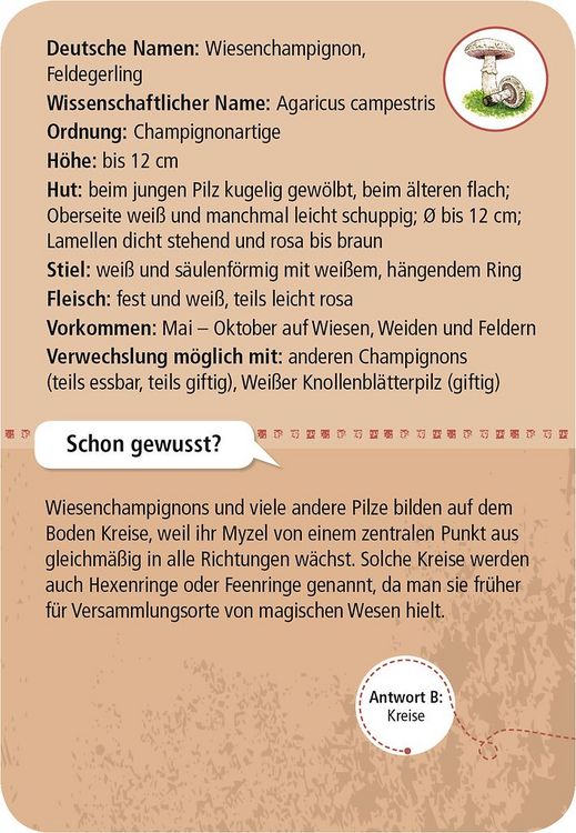 Produktbild: 50 heimische Pilze