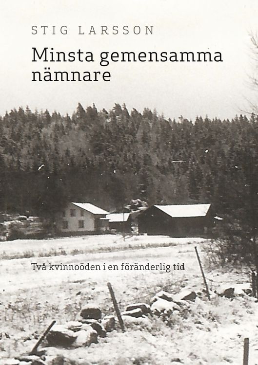 Produktbild: Minsta gemensamma n&auml;mnare