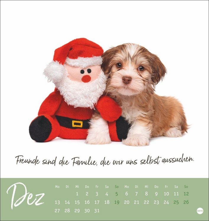 Produktbild: Ziemlich beste Freunde Postkartenkalender 2027 - F&uuml;r immer dein