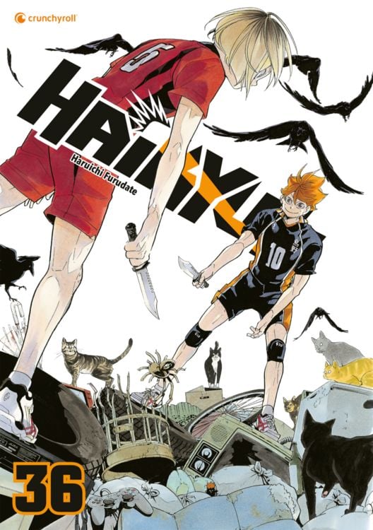 Produktbild: Haikyu!! &ndash; Band 36
