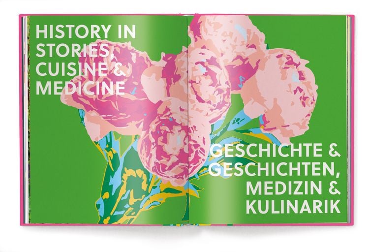 Produktbild: Floramour: Pfingstrosen