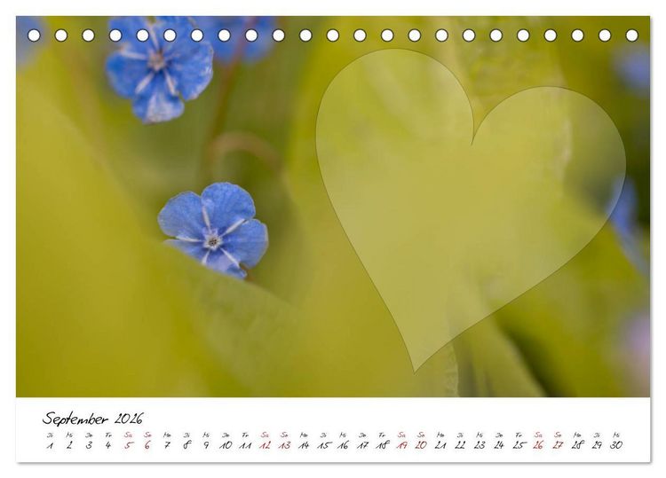 Produktbild: Blauer Bl&uuml;tentraum - Bastelkalender (Tischkalender 2026 DIN A5 quer), CALVENDO Monatskalender
