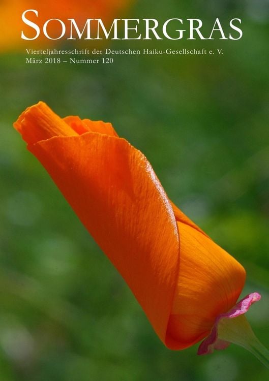 Produktbild: Sommergras