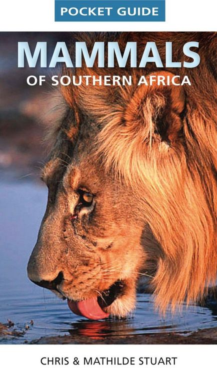 Produktbild: Pocket Guide Mammals of Southern Africa