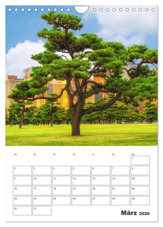 Produktbild: Tokio - Reiseplaner (Wandkalender 2026 DIN A4 hoch), CALVENDO Monatskalender