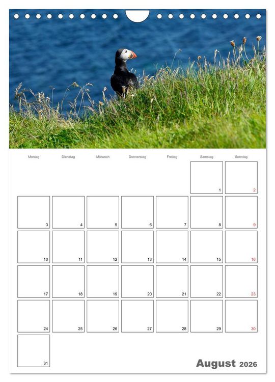 Produktbild: Schottland f&uuml;r Naturliebhaber (Wandkalender 2026 DIN A4 hoch), CALVENDO Monatskalender