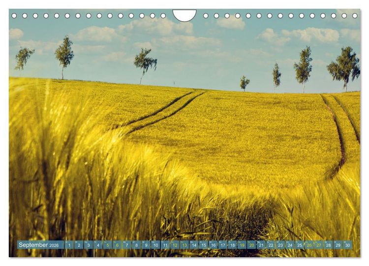 Produktbild: Buschvitz - Geografischer Mittelpunkt der Insel R&uuml;gen (Wandkalender 2026 DIN A4 quer), CALVENDO Monatskalender