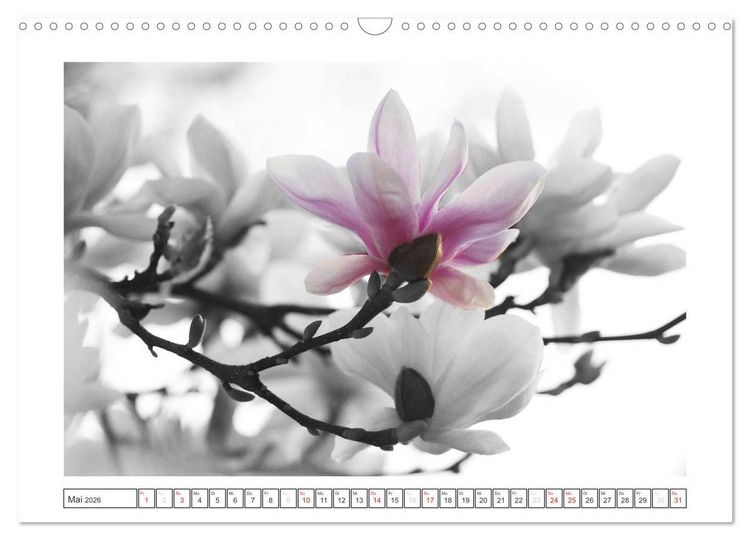 Produktbild: Natur schwarz - wei&szlig; Malerei (Wandkalender 2026 DIN A3 quer), CALVENDO Monatskalender