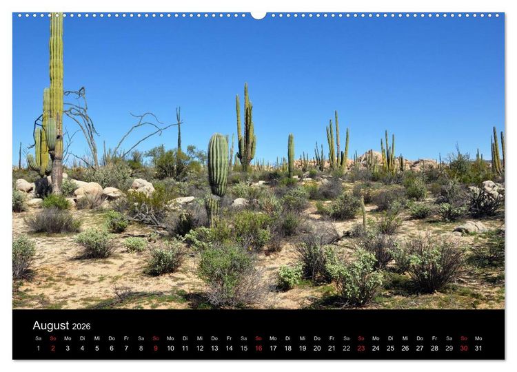 Produktbild: Baja California - Impressionen der mexikanischen Halbinsel (Wandkalender 2026 DIN A2 quer), CALVENDO Monatskalender