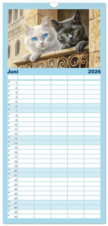 Produktbild: Familienplaner 2026 - Katzen Illustrationen - Faszination pur mit 5 Spalten (Wandkalender, 21 x 45 cm) CALVENDO