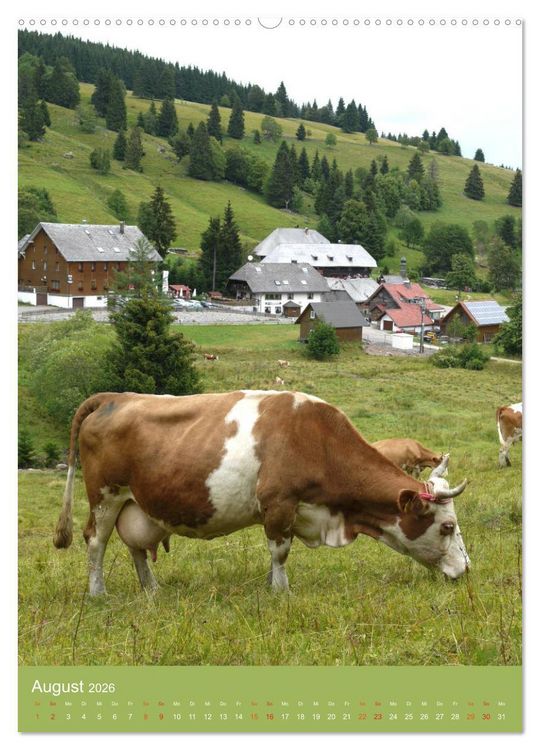 Produktbild: Schwarzwald und K&uuml;he im Hochformat (hochwertiger Premium Wandkalender 2026 DIN A2 hoch), Kunstdruck in Hochglanz