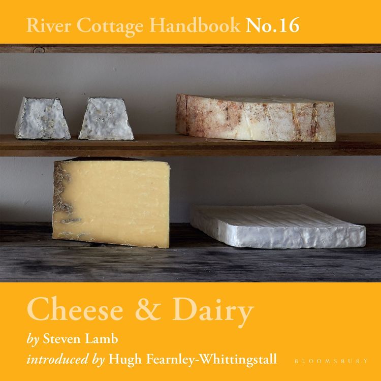 Produktbild: Cheese & Dairy