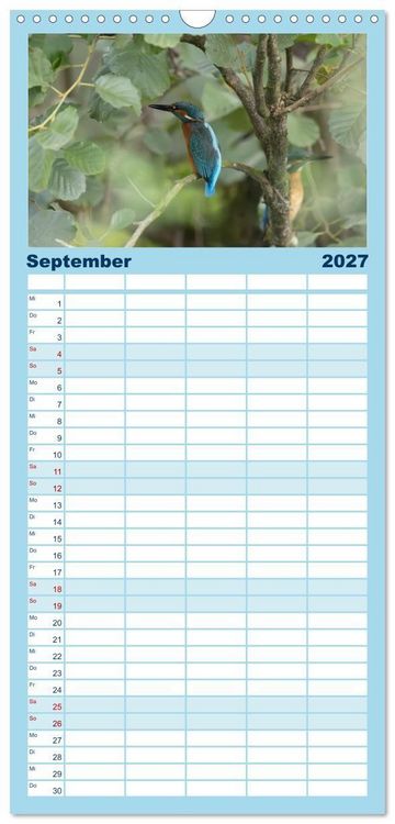 Produktbild: Familienplaner 2027 - Alcedo atthis. Der Eisvogel mit 5 Spalten (Wandkalender, 21 x 45 cm) CALVENDO