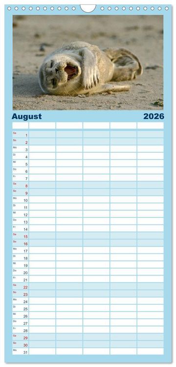 Produktbild: Familienplaner 2026 - Faszination Kegelrobben und Seehunde mit 5 Spalten (Wandkalender, 21 x 45 cm) CALVENDO