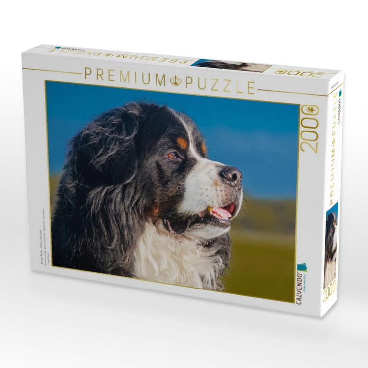 Produktbild: CALVENDO Puzzle Berner R&uuml;de - Stolz und sch&ouml;n | 2000 Teile Lege-Gr&ouml;&szlig;e 90x67cm Foto-Puzzle f&uuml;r gl&uuml;ckliche Stunden