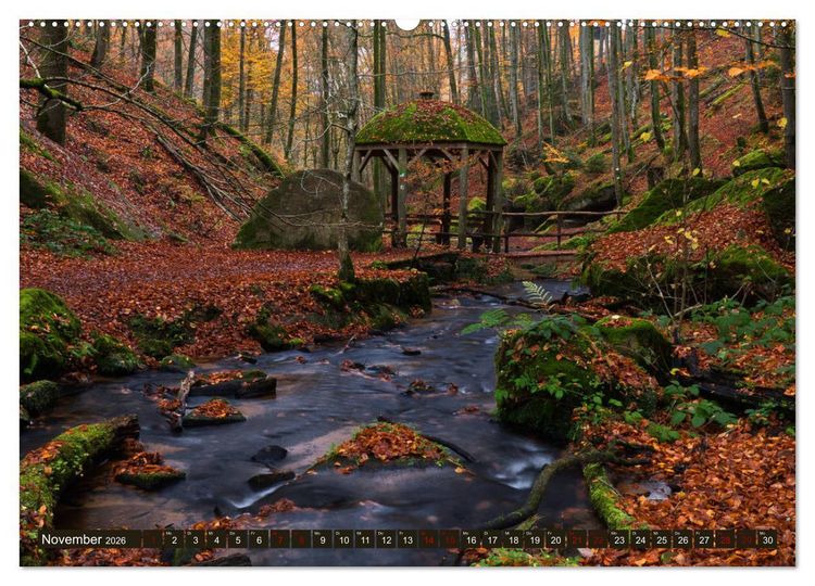 Produktbild: Augenschmaus Pf&auml;lzer Wald (Wandkalender 2026 DIN A2 quer), CALVENDO Monatskalender