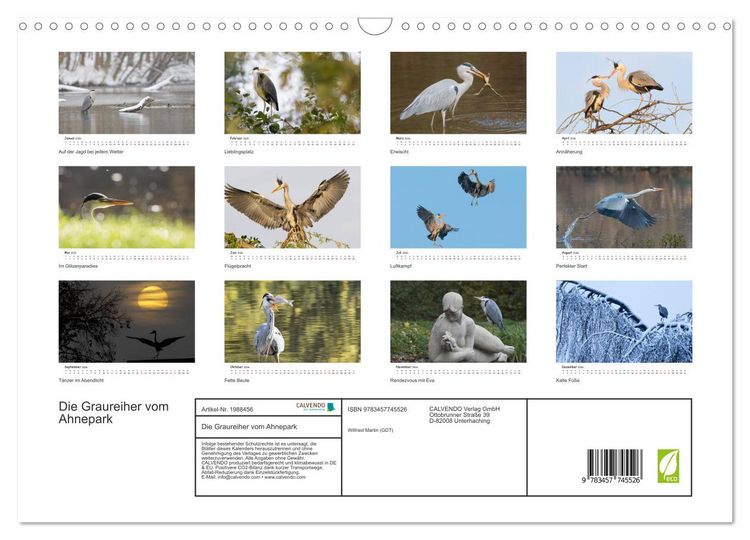 Produktbild: Die Graureiher vom Ahnepark (Wandkalender 2026 DIN A3 quer), CALVENDO Monatskalender