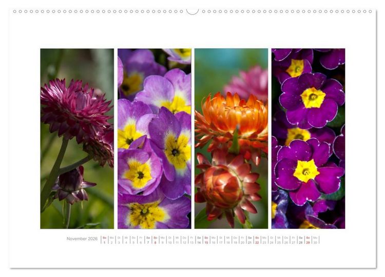 Produktbild: Gartenfreude (Wandkalender 2026 DIN A2 quer), CALVENDO Monatskalender