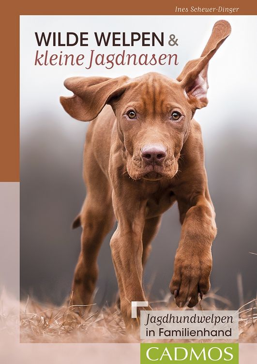 Produktbild: Wilde Welpen & kleine Jagdnasen