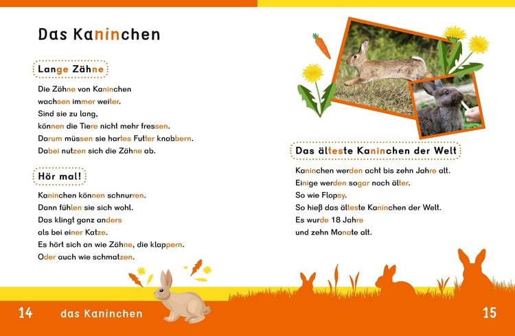 Produktbild: Dein Lesestart: Wei&szlig;t du schon alles &uuml;ber Haustiere? Ab 1. Klasse