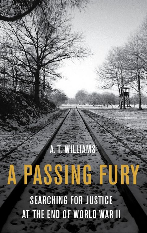 Produktbild: A Passing Fury