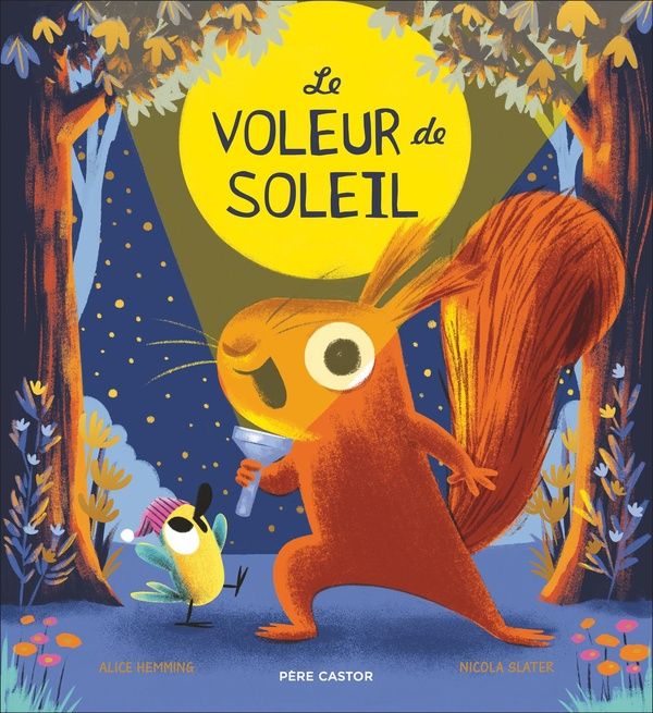 Produktbild: Le voleur de soleil