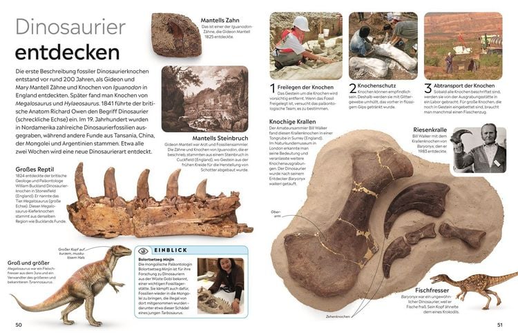 Produktbild: Memo Wissen. Fossilien