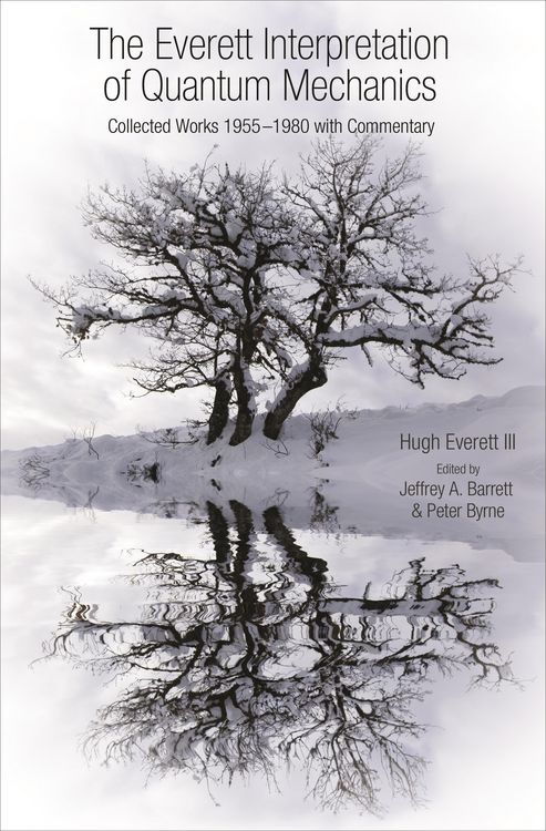 Produktbild: The Everett Interpretation of Quantum Mechanics