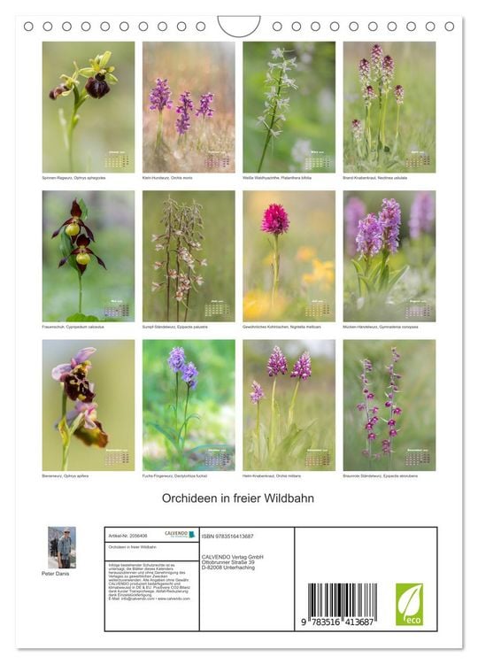 Produktbild: Orchideen in freier Wildbahn (Wandkalender 2026 DIN A4 hoch), CALVENDO Monatskalender