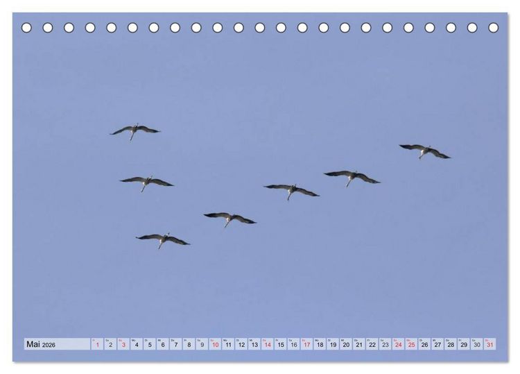 Produktbild: Kraniche auf dem Weg nach S&uuml;den (Tischkalender 2026 DIN A5 quer), CALVENDO Monatskalender