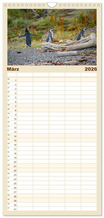 Produktbild: Familienplaner 2026 - Patagonien, Tierra del Fuego: Am Rand der Welt mit 5 Spalten (Wandkalender, 21 x 45 cm) CALVENDO