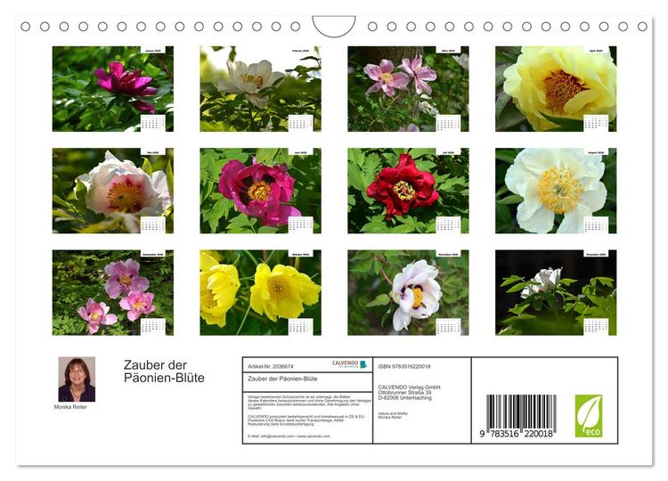 Produktbild: Zauber der P&auml;onien-Bl&uuml;te (Wandkalender 2026 DIN A4 quer), CALVENDO Monatskalender