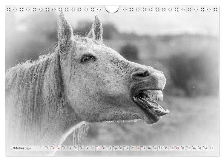 Produktbild: Emotionale Momente: Wei&szlig;e Pferde in schwarzwei&szlig;. (Wandkalender 2026 DIN A4 quer), CALVENDO Monatskalender