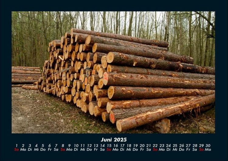 Produktbild: B&auml;ume 2025 Fotokalender DIN A4