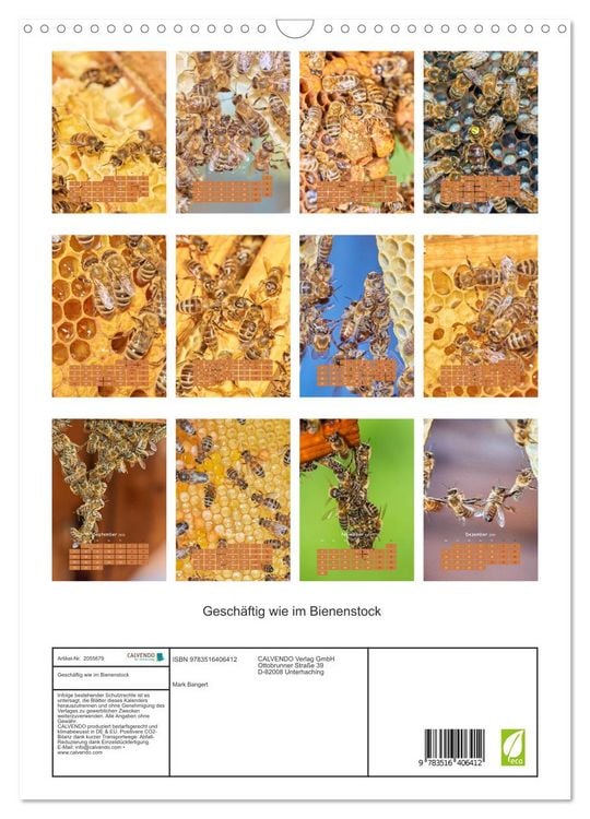 Produktbild: Gesch&auml;ftig wie im Bienenstock (Wandkalender 2026 DIN A3 hoch), CALVENDO Monatskalender