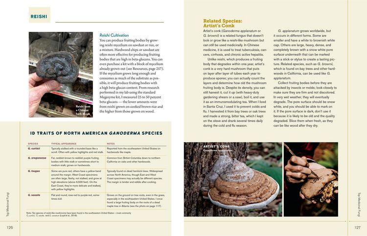 Produktbild: Christopher Hobbs's Medicinal Mushrooms: The Essential Guide