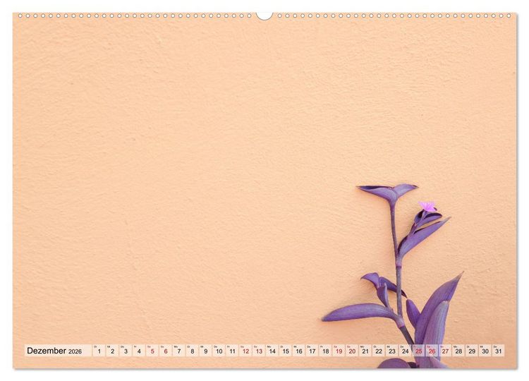 Produktbild: Minimal Burano (hochwertiger Premium Wandkalender 2026 DIN A2 quer), Kunstdruck in Hochglanz