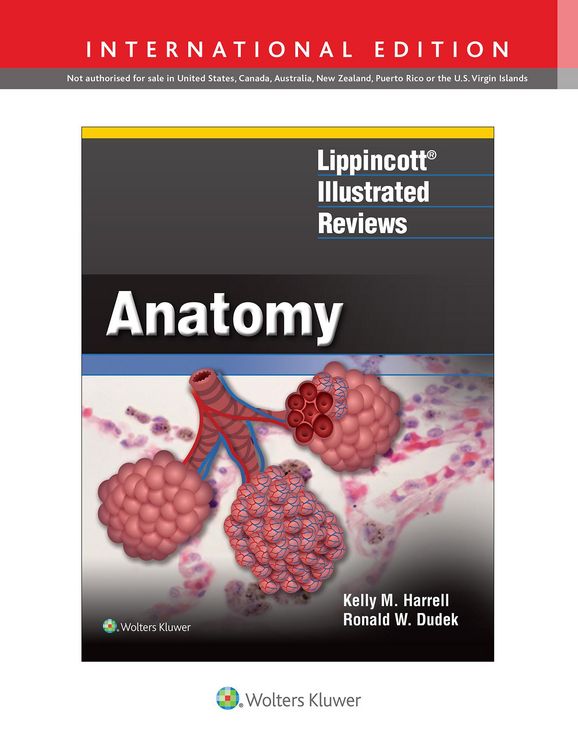Produktbild: Harrell, K: Lippincott (R) Illustrated Reviews: Anatomy