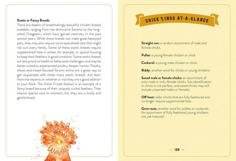Produktbild: The Little Book of Chickens