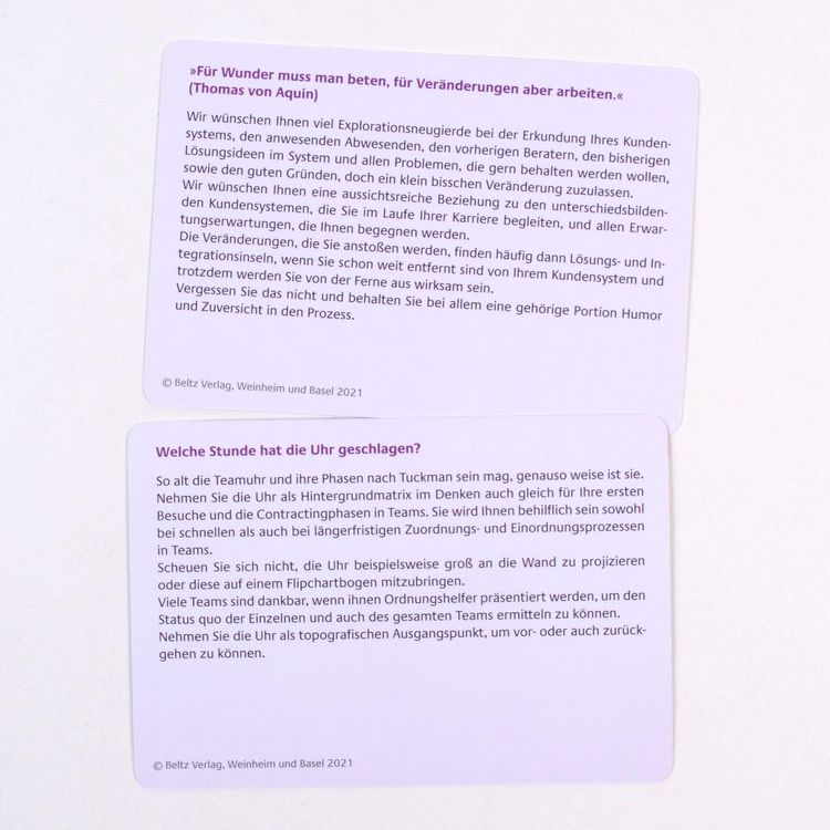 Produktbild: Kartenset Systemische Teamorganisationsprozesse