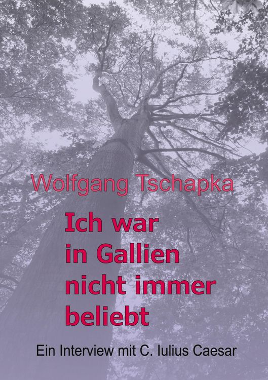 Produktbild: Ich war in Gallien nicht immer beliebt