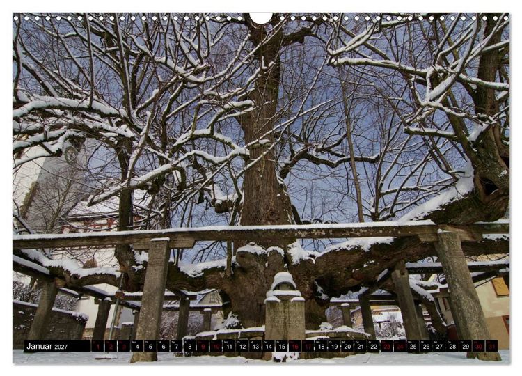 Produktbild: Dorflinden (Wandkalender 2027 DIN A3 quer), CALVENDO Monatskalender