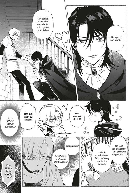 Produktbild: The Shimmering Summoner 02