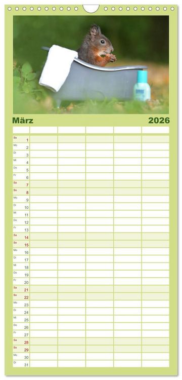 Produktbild: Familienplaner 2026 - Geheimes Waldleben mit 5 Spalten (Wandkalender, 21 x 45 cm) CALVENDO