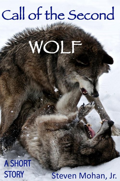 Produktbild: Call of the Second Wolf