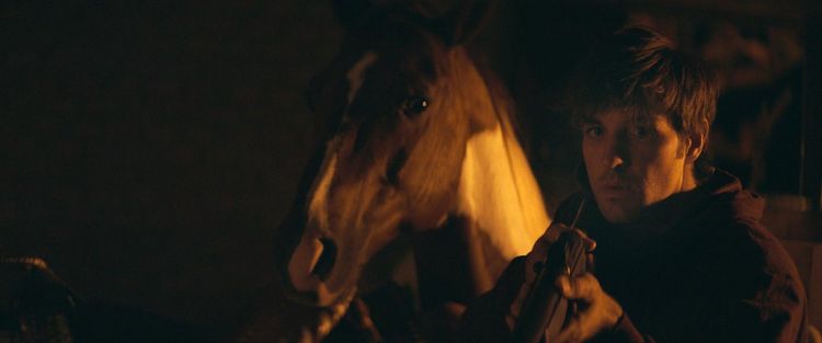 Produktbild: No Man's Land &ndash; Crossing the Line