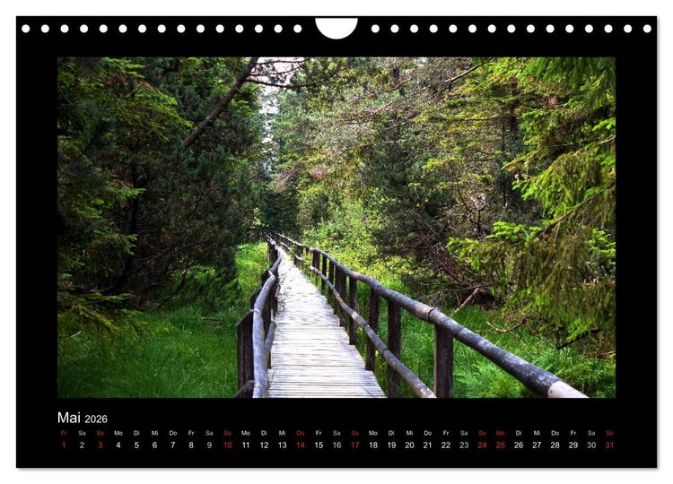 Produktbild: W&auml;lder, fotografiert auf vier Kontinenten (Wandkalender 2026 DIN A4 quer), CALVENDO Monatskalender